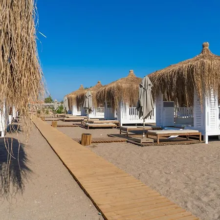 Lara Barut Collection